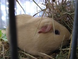 IMG_20181117_124052726